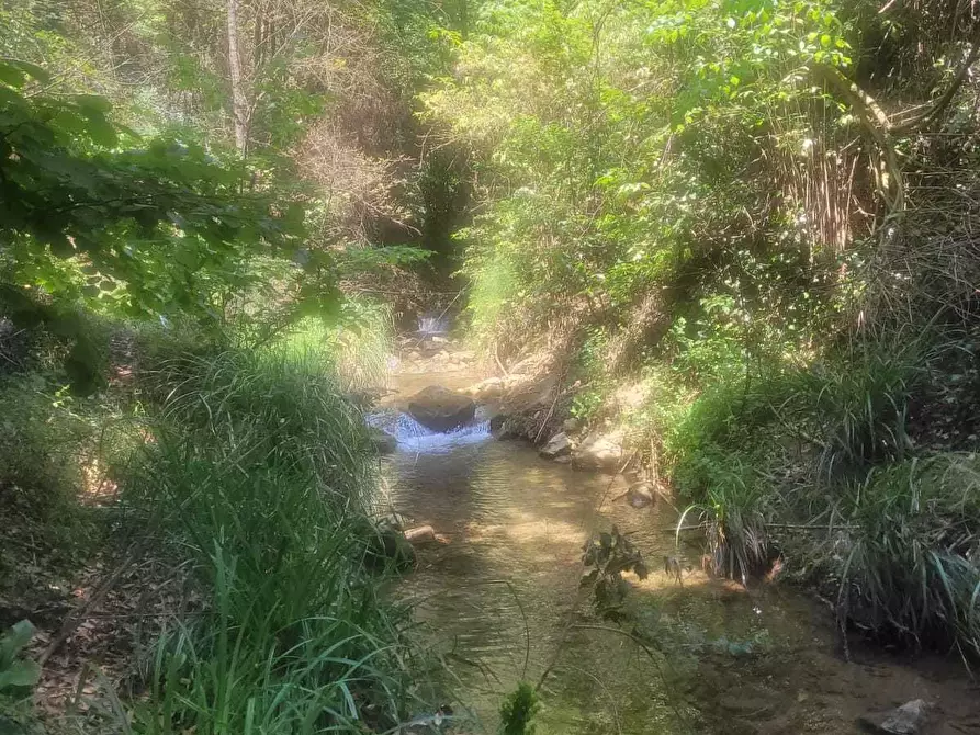 Immagine 57 di Rustico / casale in vendita  in Via Val D'Olivi 185 a San Remo