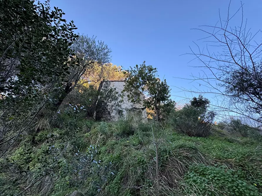 Immagine 48 di Rustico / casale in vendita  in Via Val D'Olivi 185 a San Remo