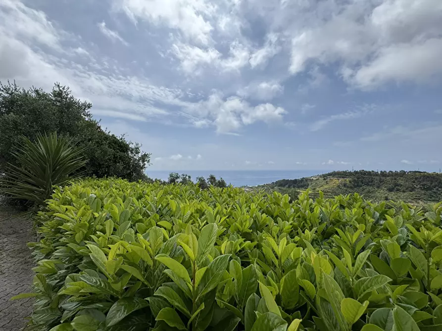 Immagine 50 di Casa bifamiliare in vendita  in Via Gramegna 7 a Castellaro
