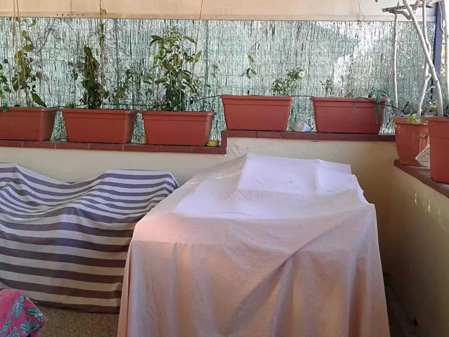 Immagine 10 di Trilocale in affitto  a Pietrasanta