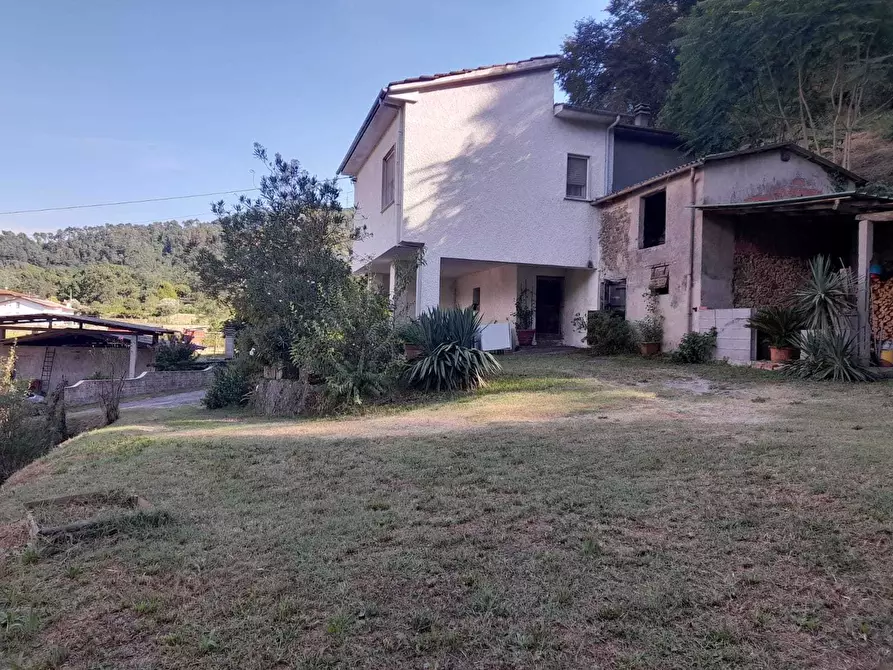 Immagine 55 di Rustico / casale in vendita  a Camaiore