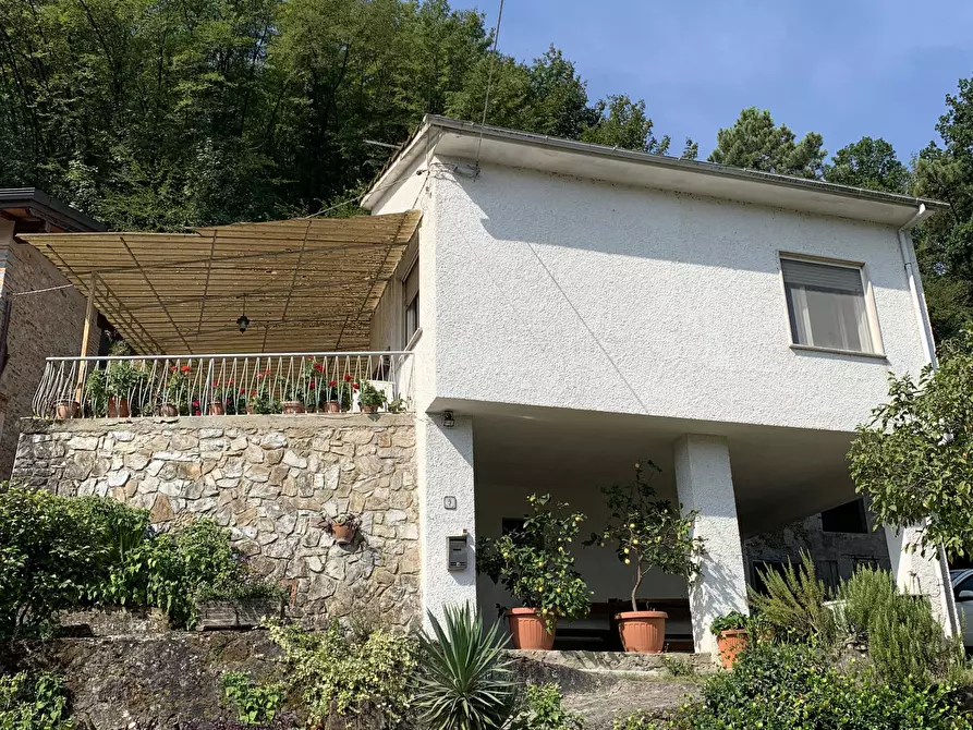 Immagine 3 di Rustico / casale in vendita  a Camaiore