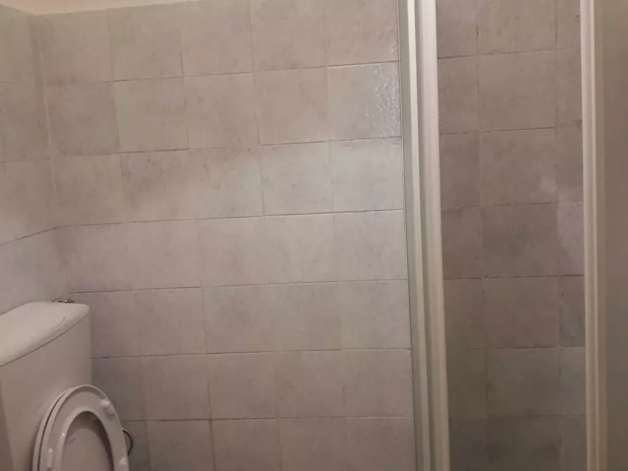 Immagine 12 di Trilocale in affitto  a Viareggio