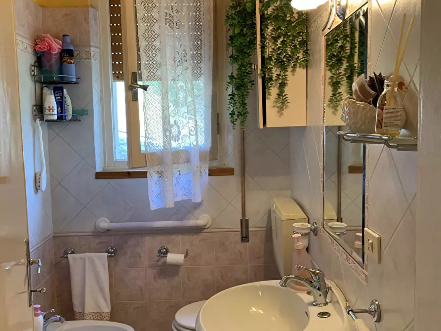 Immagine 26 di Rustico / casale in vendita  a Camaiore