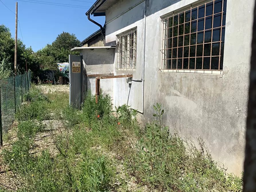 Immagine 5 di Attività artigianale in affitto  a Pietrasanta