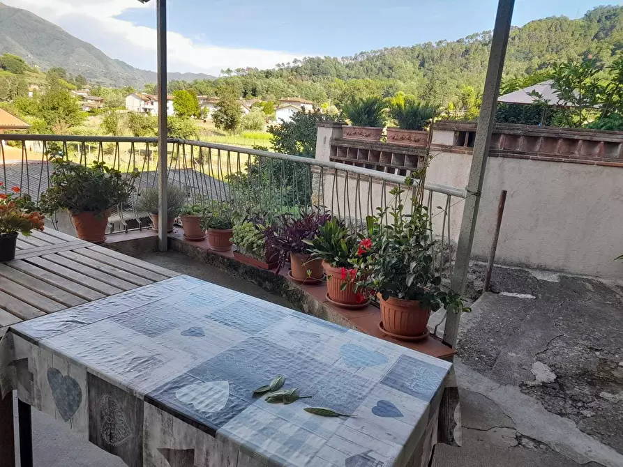 Immagine 51 di Rustico / casale in vendita  a Camaiore