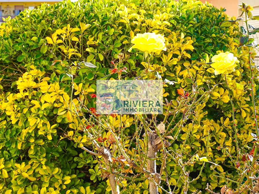 Immagine 26 di Trilocale in vendita  in Via Aurelia Ponente 86 a Santo Stefano Al Mare