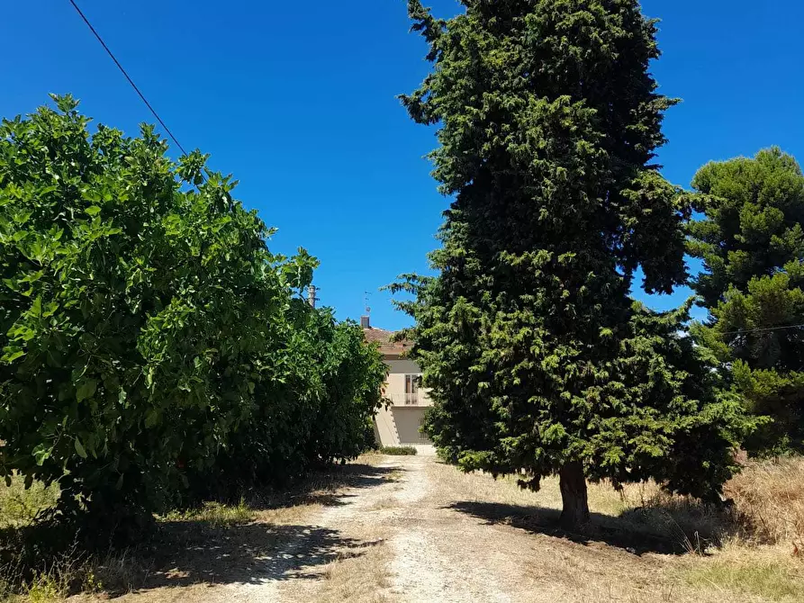 Immagine 26 di Rustico / casale in vendita  in C.DA SAN GIACOMO 39 a Rocca San Giovanni