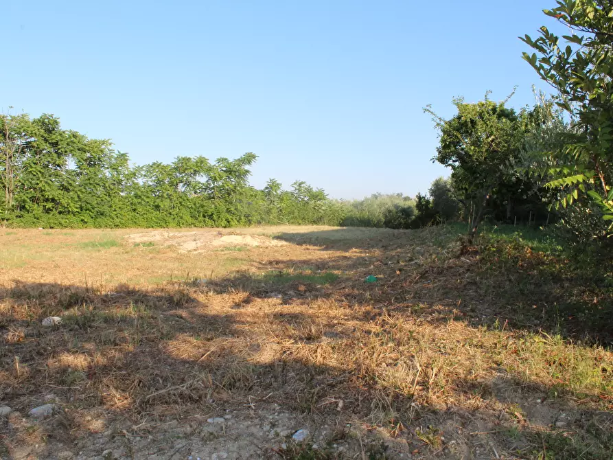 Immagine 4 di Terreno industriale in vendita  in Marcianese a Lanciano