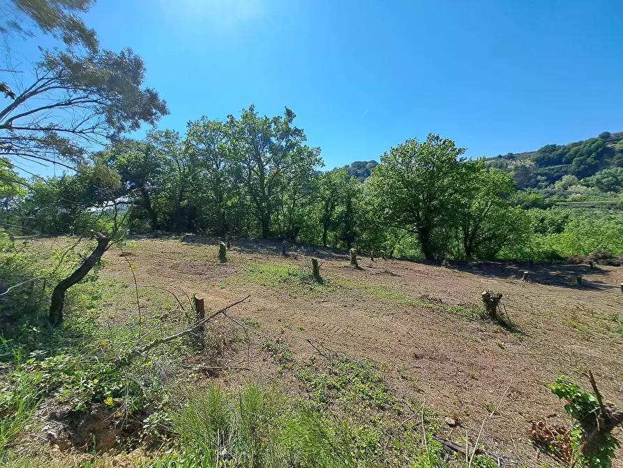 Immagine 8 di Rustico / casale in vendita  in C.DA CASTELLANA a Treglio