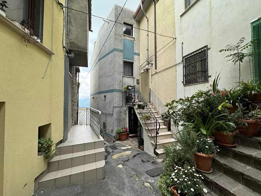 Immagine 46 di Appartamento in vendita  in Palmoli a Palmoli