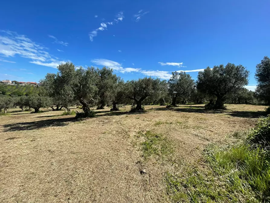 Immagine 8 di Casa indipendente in vendita  in contrada ranco 55 a Paglieta