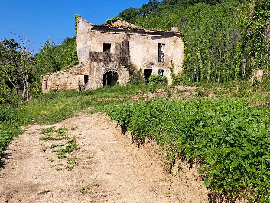 Immagine 46 di Rustico / casale in vendita  in C.DA CASTELLANA a Treglio