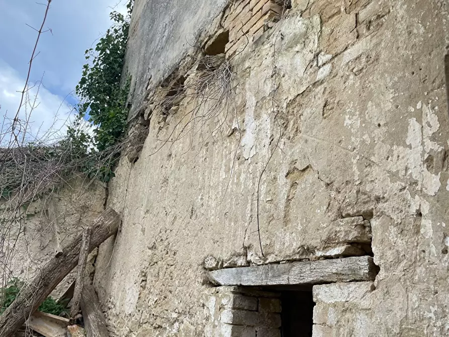 Immagine 34 di Rustico / casale in vendita  in C.DA CASTELLANA a Treglio