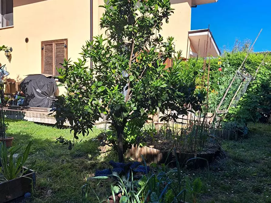 Immagine 8 di Villetta a schiera in vendita  in Via San Giorgio 99 a Treglio