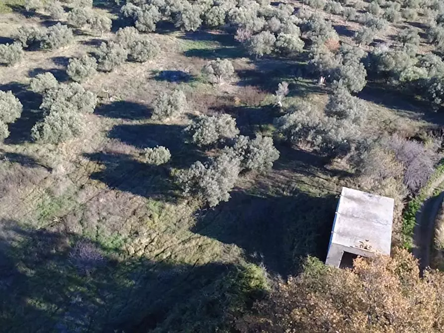 Immagine 6 di Casa indipendente in vendita  in contrada ranco 55 a Paglieta