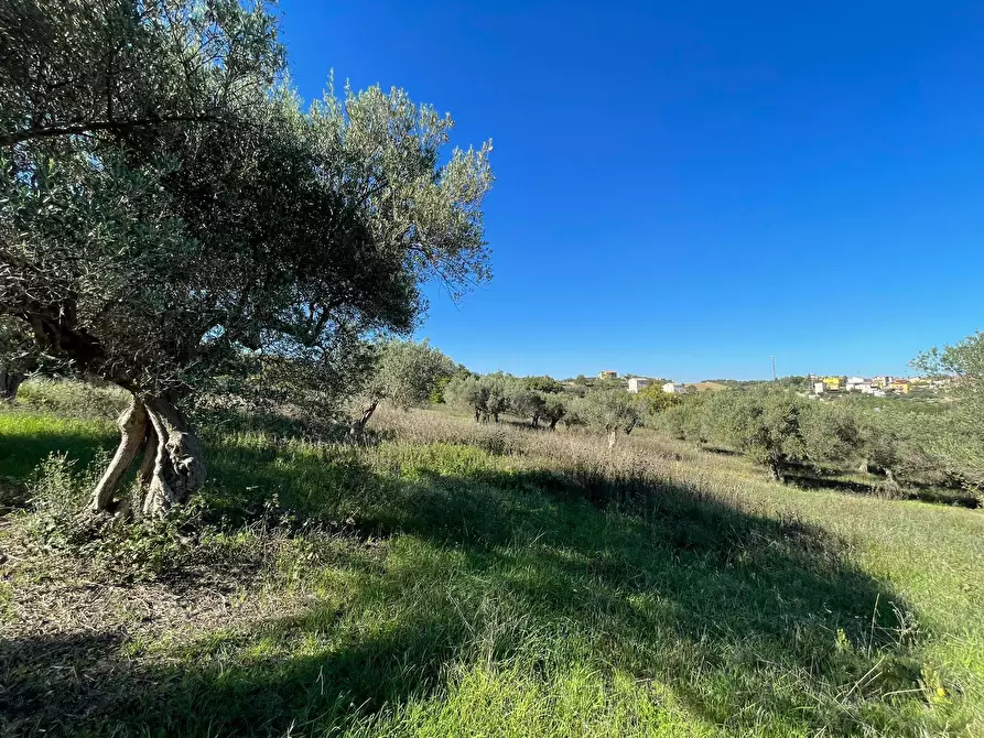 Immagine 16 di Casa indipendente in vendita  in contrada ranco 55 a Paglieta