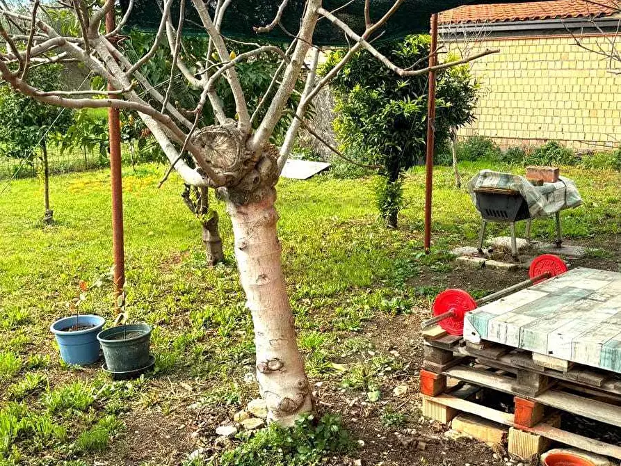 Immagine 60 di Rustico / casale in vendita  in Contrada da Cona 34 a San Vito Chietino