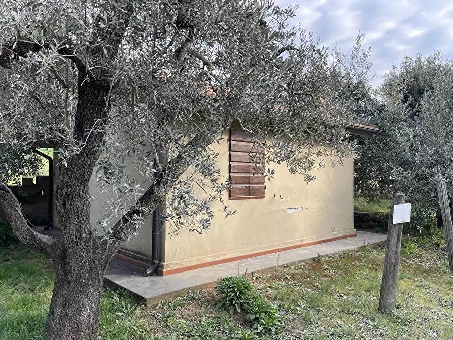 Immagine 3 di Terreno agricolo in vendita  in Strada Provinciale dei Tre Comuni a Casale Marittimo