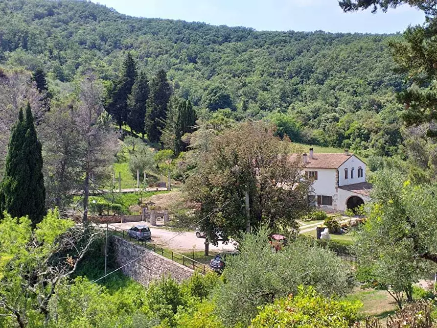 Immagine 3 di Villa in vendita  in via san giusto a Livorno