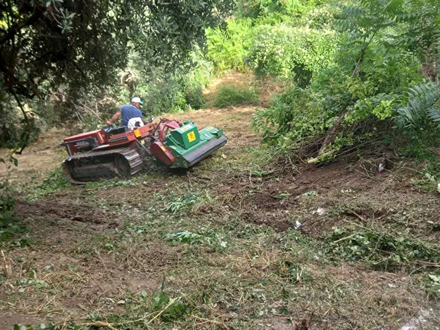 Immagine 4 di Terreno agricolo in vendita  in Via Giulio Roncacci 1 a Morlupo