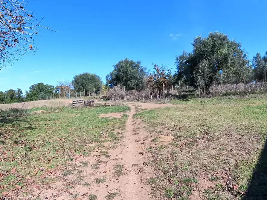 Immagine 32 di Villa in vendita  in Strada Comunale Campo Maggiore 10 a Rignano Flaminio