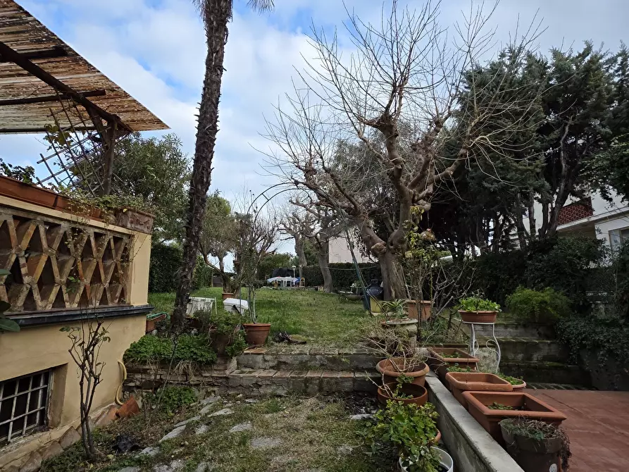 Immagine 41 di Casa indipendente in vendita  in Via Giacomo Matteotti 10 a Numana