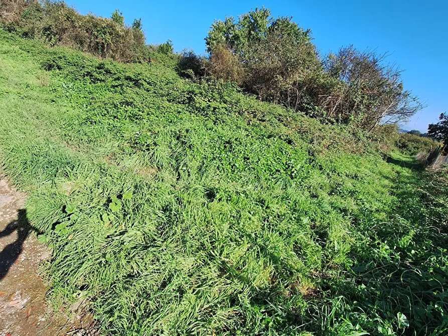 Immagine 3 di Terreno agricolo in vendita  in Via Monte delle Rose a Morlupo