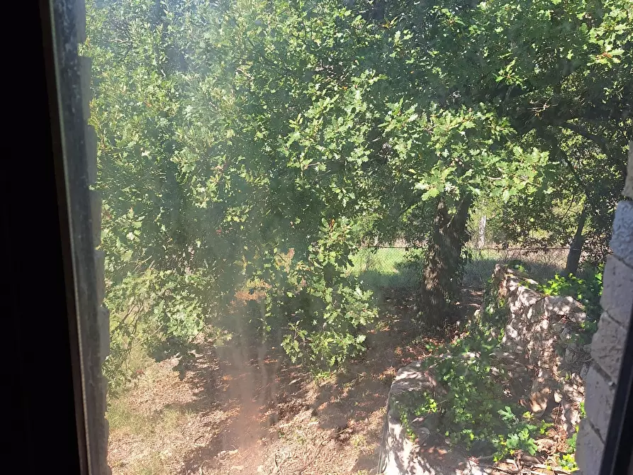 Immagine 72 di Rustico / casale in vendita  in Vocabolo Pupiglian 1 a Guardea
