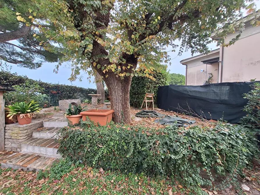 Immagine 10 di Casa indipendente in vendita  in Via Giacomo Matteotti 10 a Numana