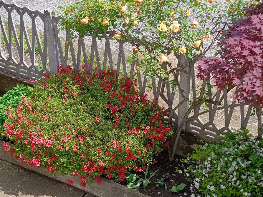 Immagine 70 di Casa bifamiliare in vendita  in Via Lombardore 243 a Ciriè