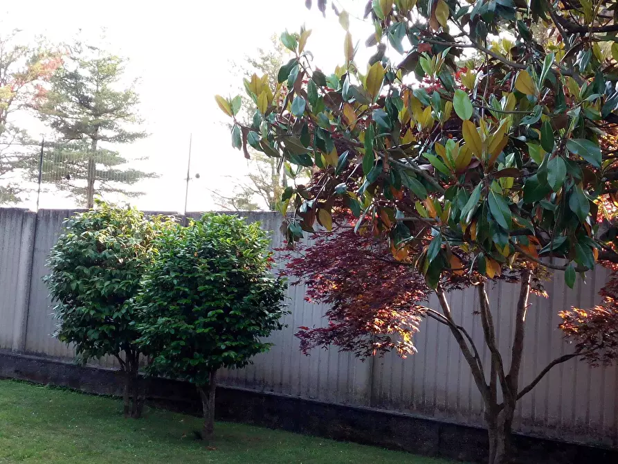 Immagine 79 di Casa bifamiliare in vendita  in Via Lombardore 243 a Ciriè