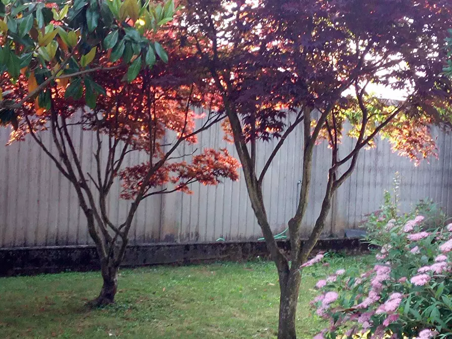 Immagine 78 di Casa bifamiliare in vendita  in Via Lombardore 243 a Ciriè