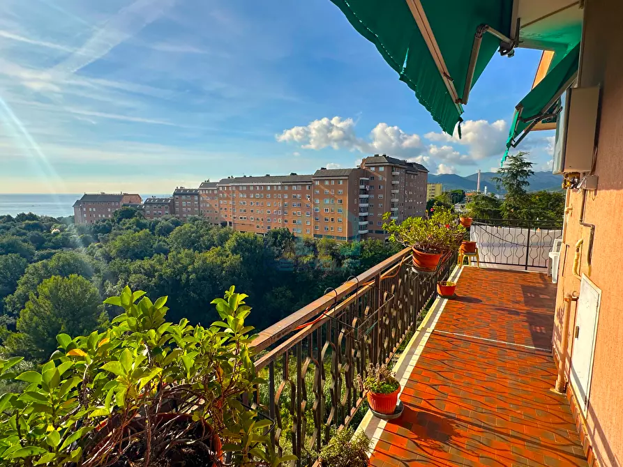 Immagine 19 di Appartamento in vendita  in Via Fratelli Grondona 18 a Savona