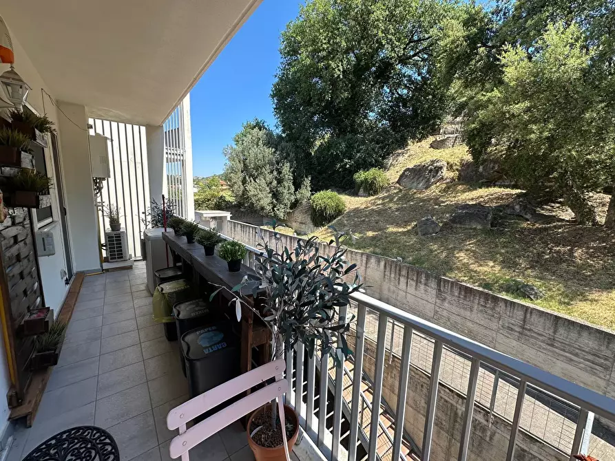 Immagine 20 di Quadrilocale in vendita  in Via Molise a Fonte Nuova