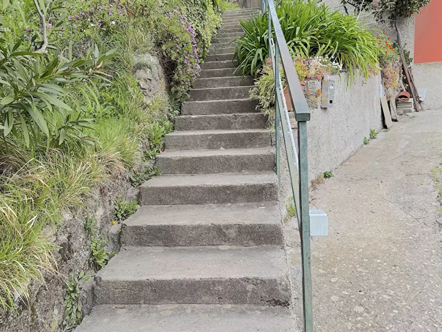 Immagine 23 di Casa bifamiliare in affitto  a Leivi