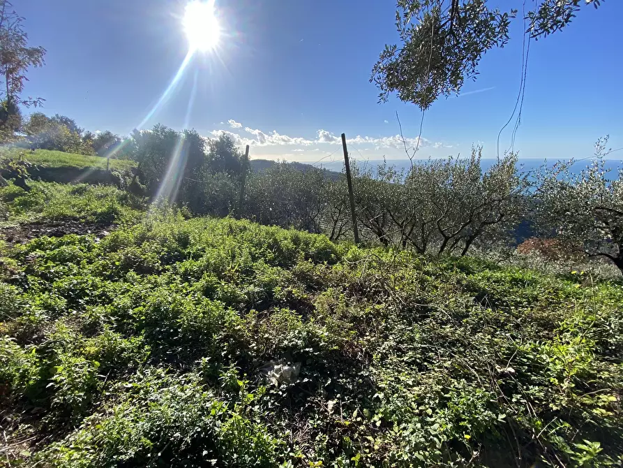 Immagine 39 di Casa indipendente in vendita  a Cogorno