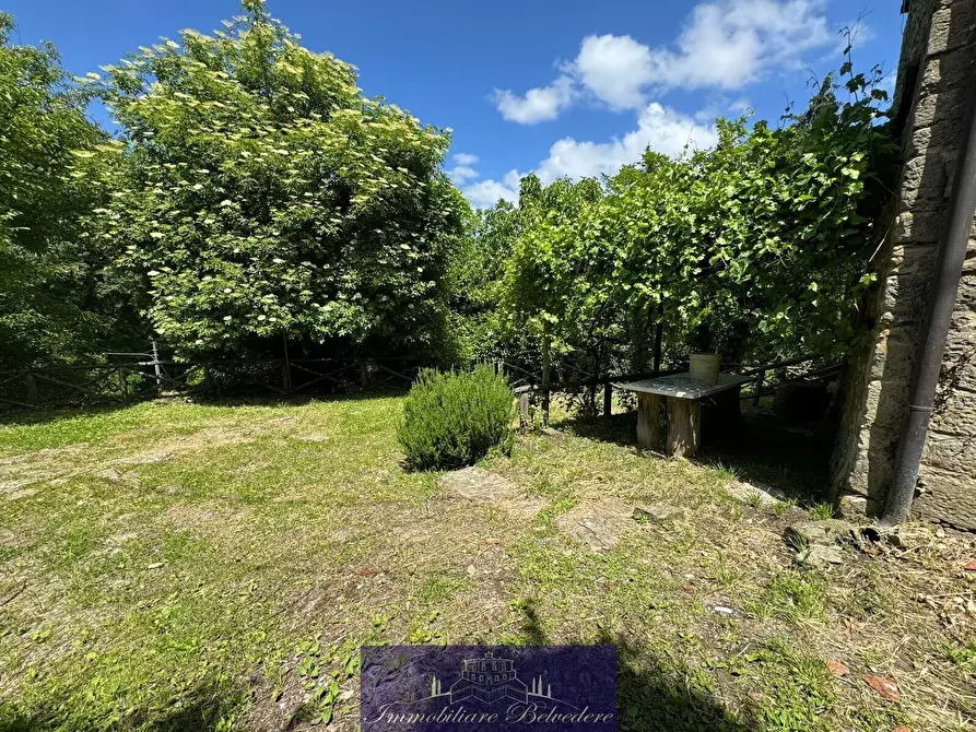 Immagine 2 di Villa in vendita  in Località Borselli Meo a Pontassieve