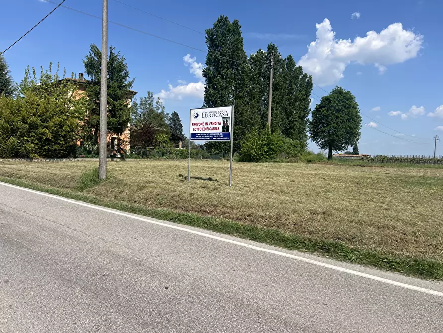 Immagine 4 di Terreno edificabile in vendita  in Via per Riolo 46 a Castelfranco Emilia
