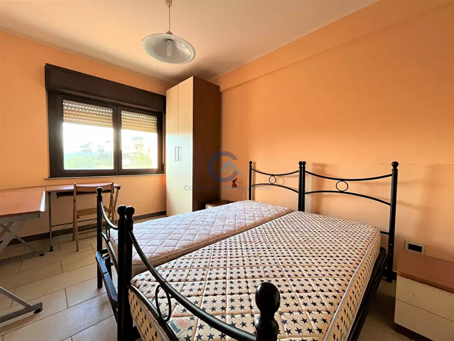 Immagine 4 di Trilocale in affitto  a Catanzaro