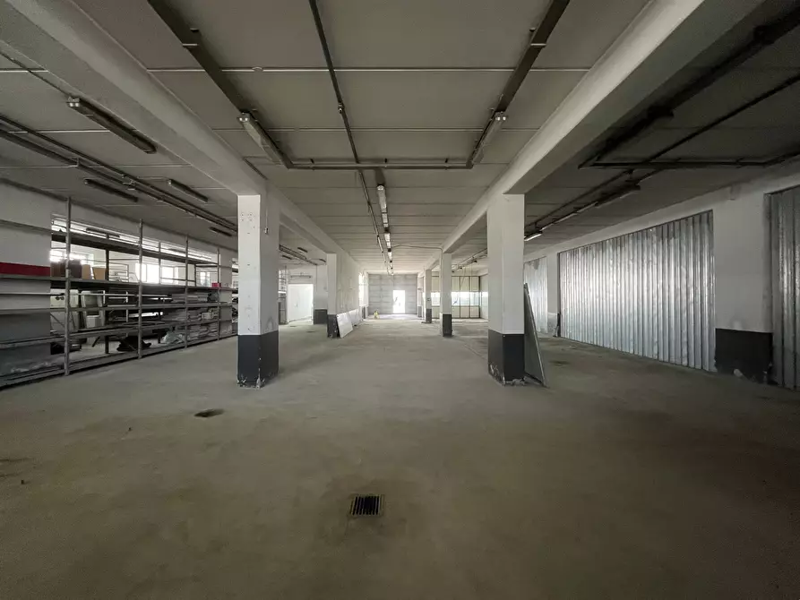 Immagine 4 di Magazzino in affitto  in Viale della Valle Lucrezia 50 a Catanzaro