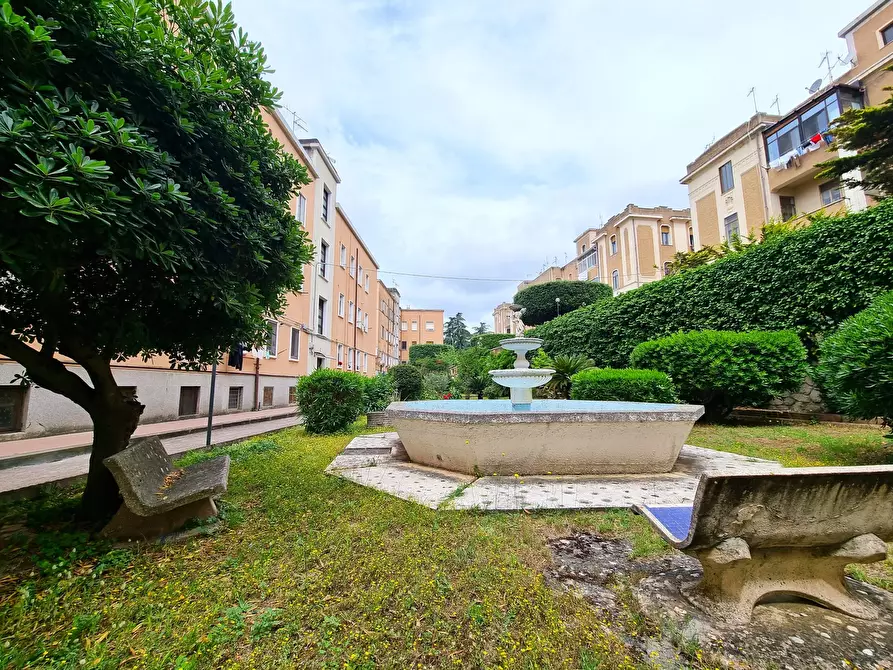 Immagine 14 di Trilocale in affitto  a Catanzaro