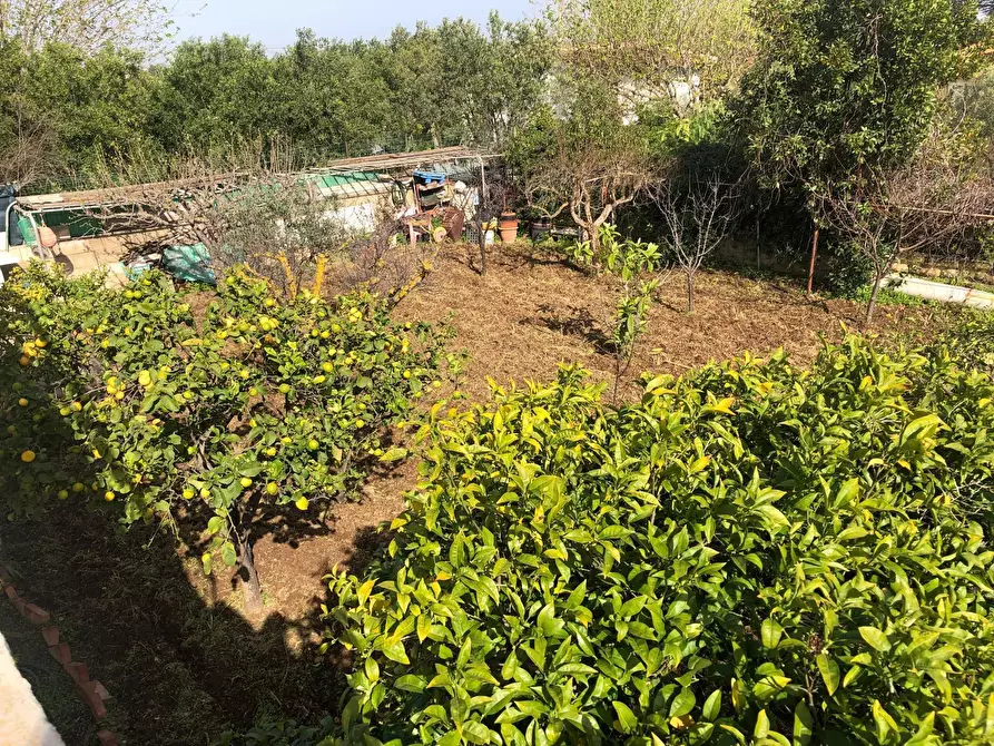 Immagine 32 di Casa indipendente in vendita  in VIA ISOLE DELLA  CALEDONIA a Siracusa