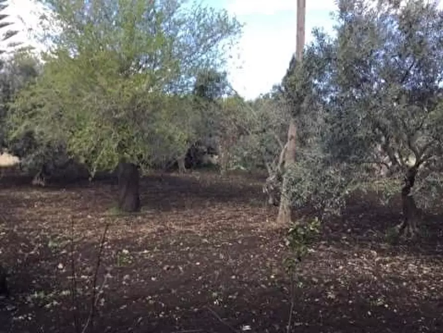 Immagine 40 di Villa in vendita  in via marzamemi a Melilli