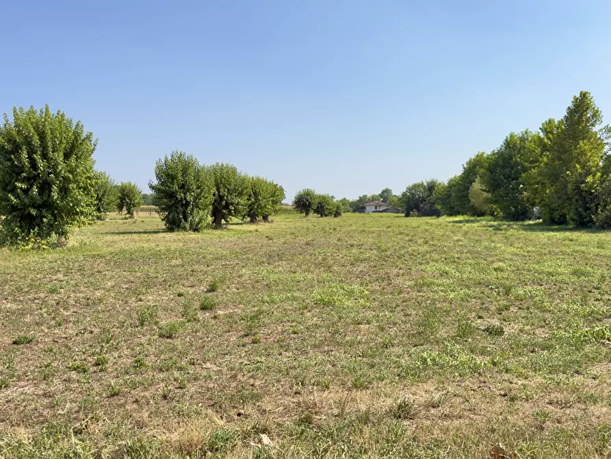 Immagine 2 di Terreno agricolo in vendita  in Via San Francesco D'Assisi 40 a Borgosatollo