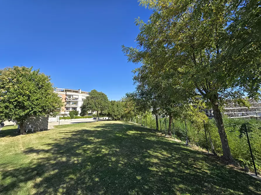 Immagine 38 di Trilocale in vendita  in VIA ROSARIO LIVATINO 3 a Nettuno