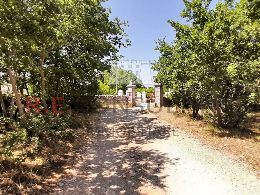 Immagine 26 di Rustico / casale in vendita  in Masseria Corallo snc a Martina Franca