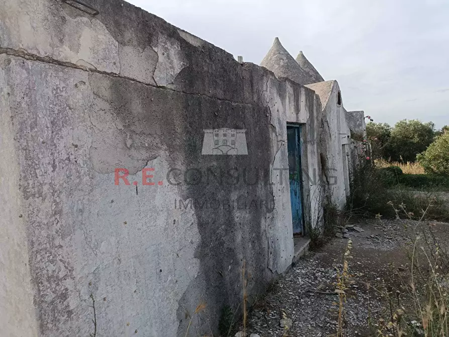 Immagine 3 di Rustico / casale in vendita  in SP49 172 a Martina Franca