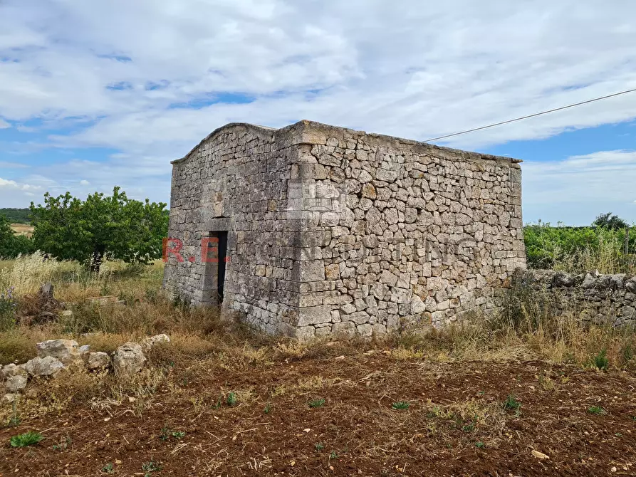 Immagine 2 di Baita in vendita  in Via ospedale a Martina Franca