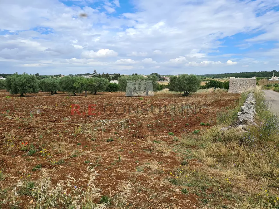 Immagine 12 di Baita in vendita  in Via ospedale a Martina Franca